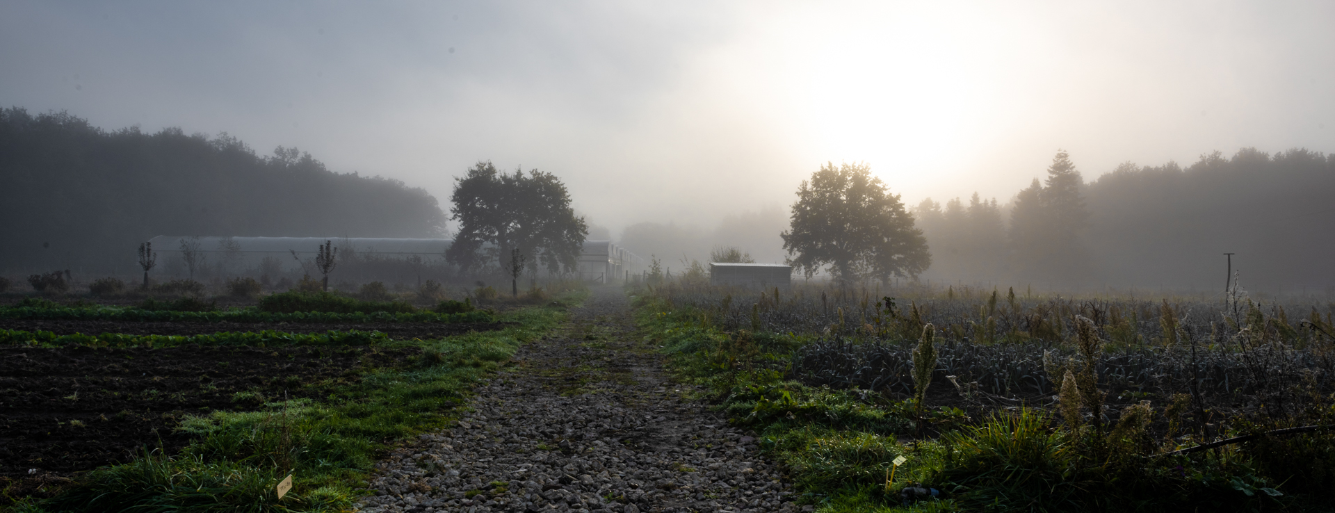 Séminaire en hiver : un cadre éco-responsable pour vos équipes