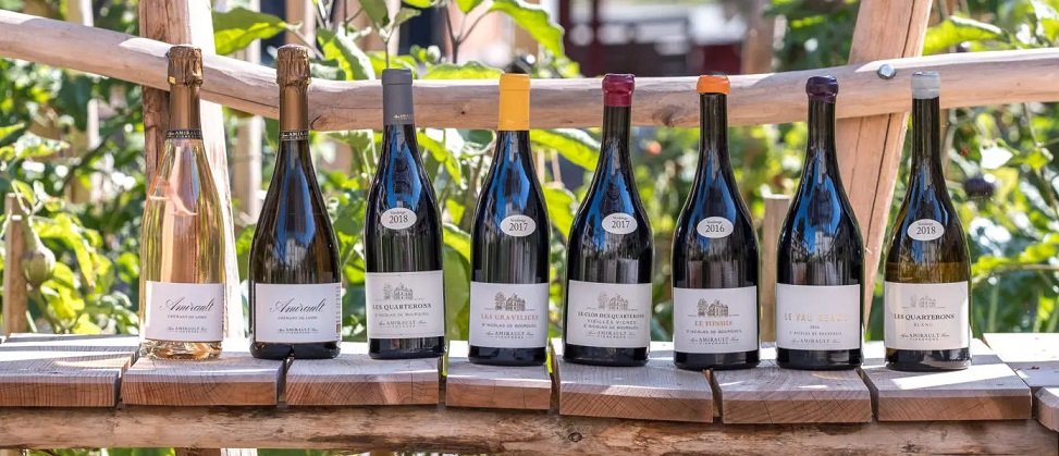 Venez découvrir les vins bio Saint Nicolas de Bourgueil