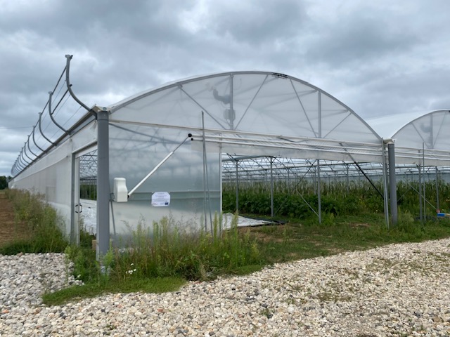 Nos 2 serres multi-tunnels en maraichage biologique