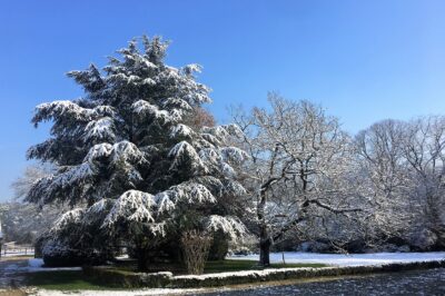 6 - Jardin - cour sous la neige 6 - Jardin - cour sous la neige